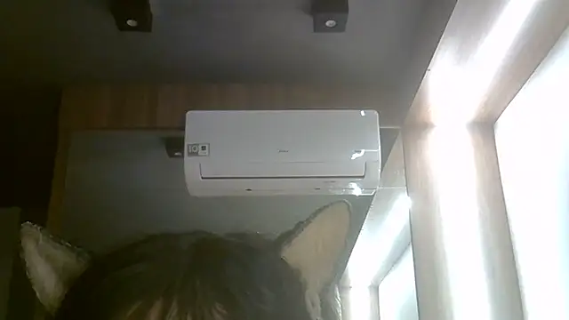 Show de SkinnyKitten na webcam