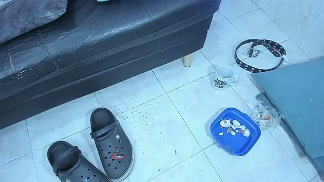 دردشة KevCokk الجنسية المباشرة