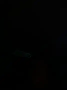 Chat XXX en directo de ASIANMISTRESSSS