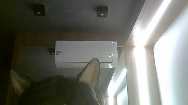 Show de SkinnyKitten na webcam