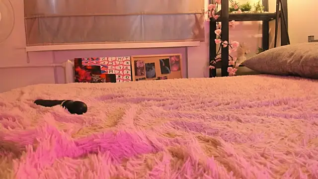 DaisyPillow's Live XXX Chat