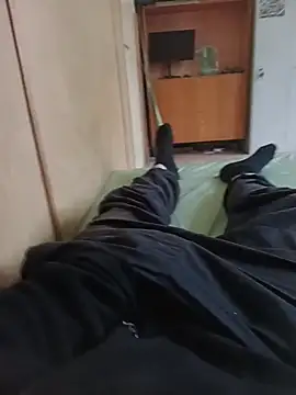 Show modela SamVer1 na web-kameri