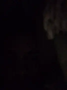 HenriquePhn live XXX chat