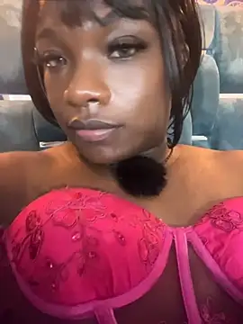 Chatroom XXX en direct de Fersecrettt_