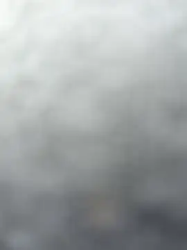 Chat XXX ao vivo de MiraReach