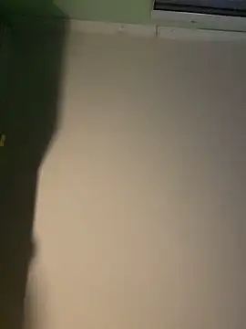 Show modela tumegritoriko na web-kameri