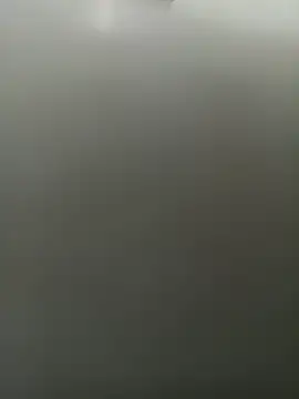 wildfoxGn Webbikameraesitys