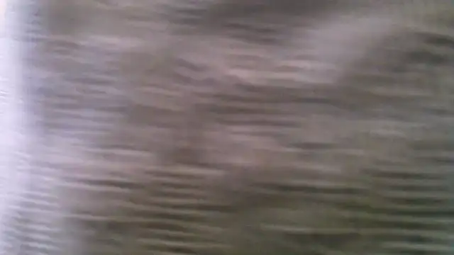 geiledouwe: вебкам-шоу