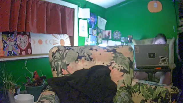 HippieDad333 – Live XXX-chat