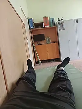 Show modela SamVer1 na web-kameri