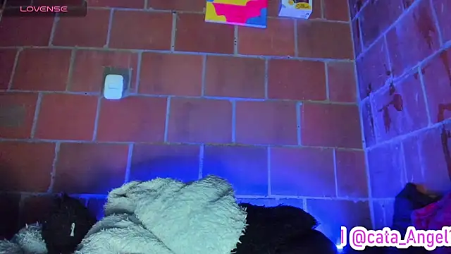 Cata-angel Live XXX-chat