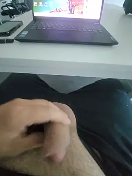 Nes---77n Webbikameraesitys