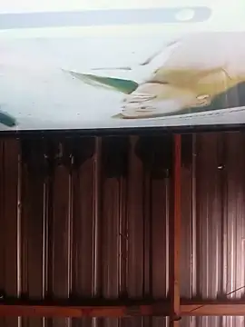 thickmeat47 Pertunjukan Webcam