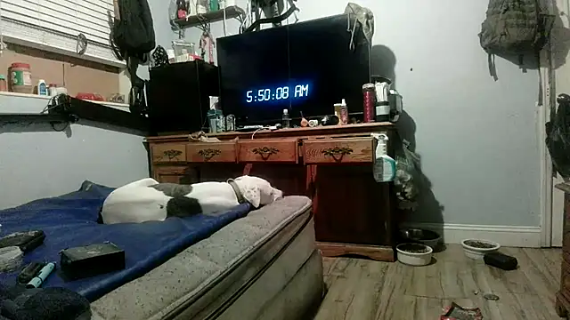 Chat XXX en directo de PornStro921