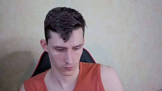 Show webcam de touch_me7