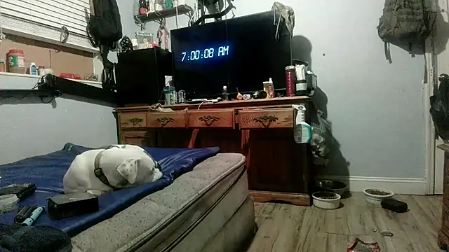 PornStro921 Adlı Modelin Canlı XXX Sohbeti