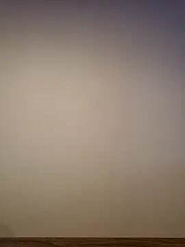 AlphaGymMalen Live XXX chat