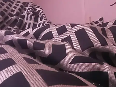 Blkstylion's Webcam Show