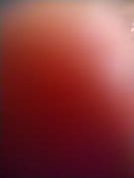 Онлайн чат XXX Xaviervtg