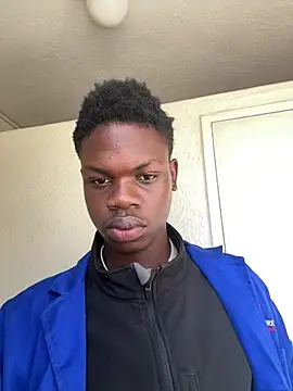 BBC_CHIEFn Webbikameraesitys