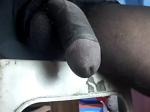 Show webcam de Precumking1
