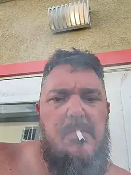 TatooedBear's Live XXX Chat