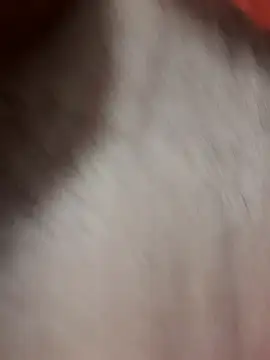 צ'אט XXX בשידור חי של Claudioxavier2