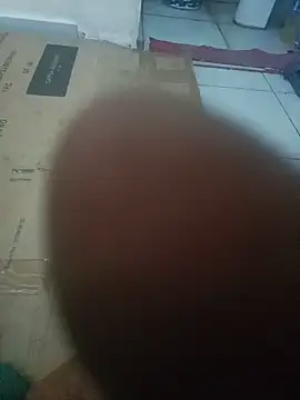 Fwfao12 Webcam-Show