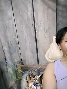 Chat XXX Live sumaybae