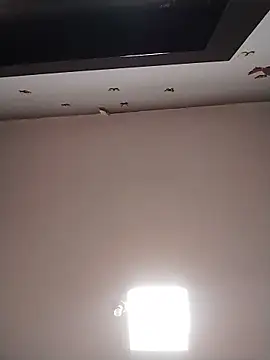 Sombr1359's Webcam Show