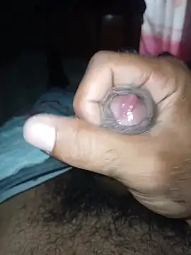 taylorWiiz Chat XXX live