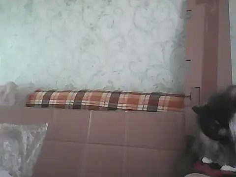Musical__fantasy Live XXX-Chat