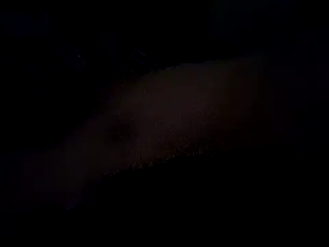 Show modela voroda na web-kameri