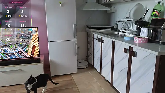 RyanStorm_ Webcam show