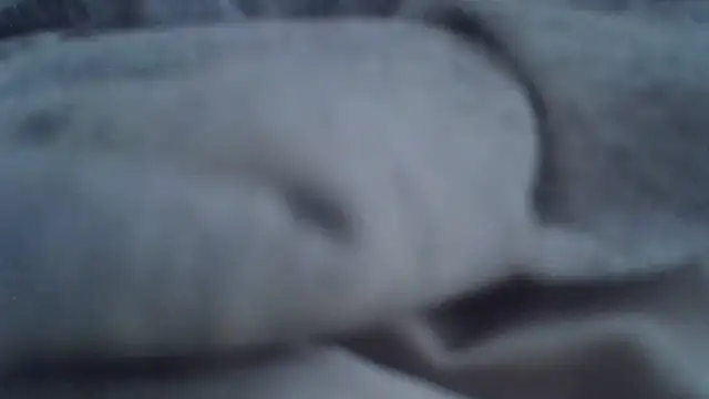 XXX chat uživo modela ViraVrema