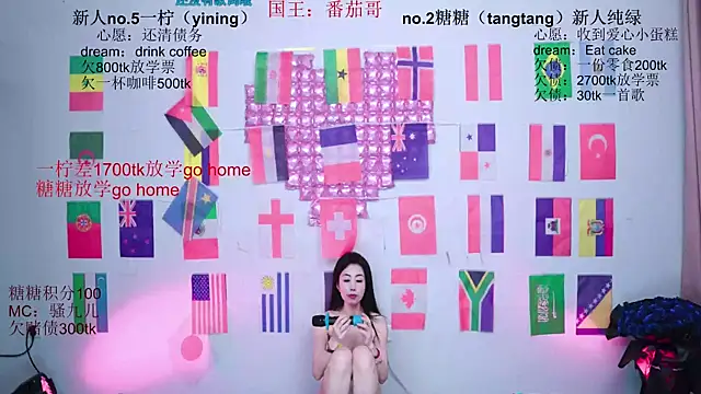 CCTW-100 웹캠 쇼