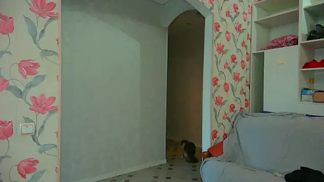 DarkxFoxy live XXX chat