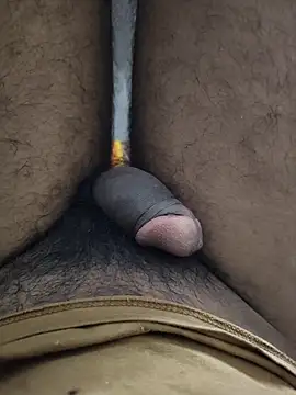 adorednorthh Chat XXX live