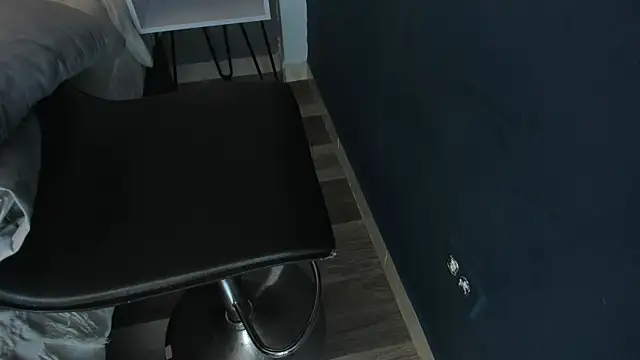 Charlie___Musk live XXX chat