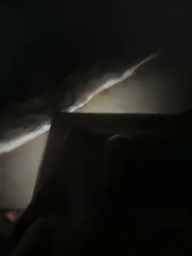 J19L84C's Webcam Show