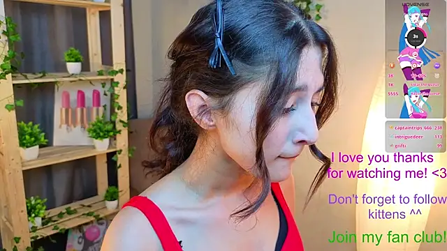 Chat XXX Live JasminKitany