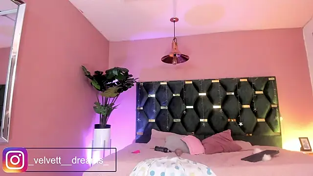Živý XXX chat Velvet_Dreamss