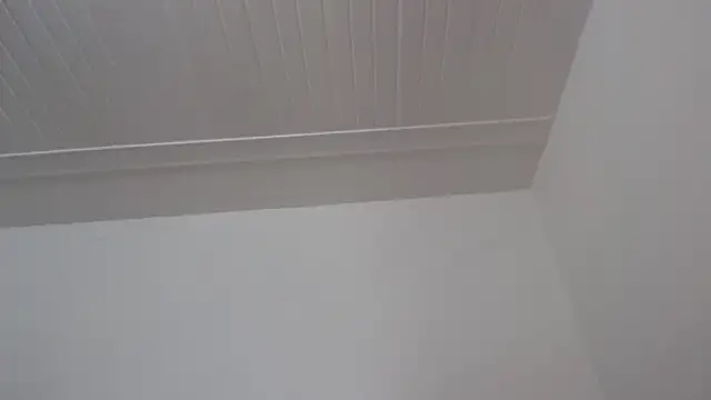 ElizabethMiler's Live XXX Chat