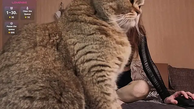 Živý XXX chat just_vvv