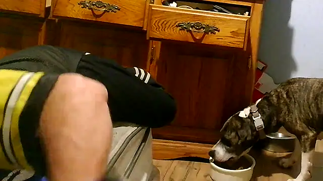 PornStro921 élő XXX-chatje