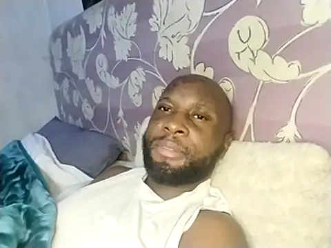 Stallion100n Live XXX chat