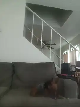 yourMasterisBored Live XXX Chat