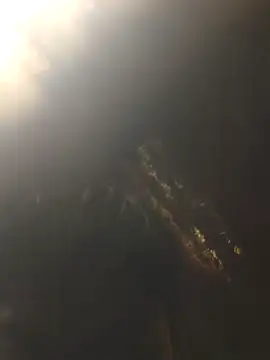 عرض كام DanielGr27