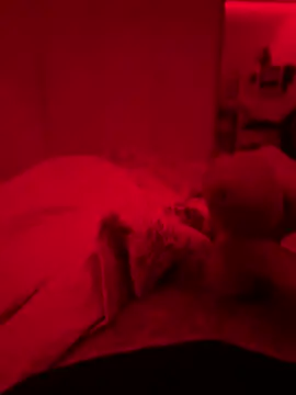 greymalln Webbikameraesitys