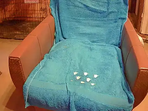 XXX chat uživo modela Barry-Kent